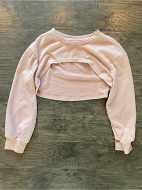 Light Pink Soft Cropped Pullover Sweatshirt Size Small